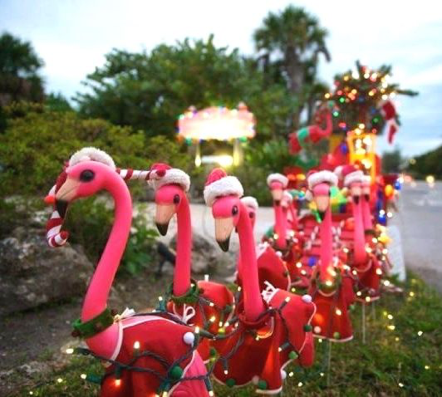 christmas flamingo