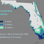 climate gentrification